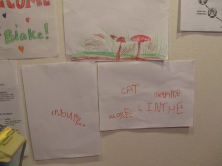 Luna late night writing