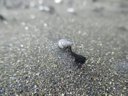 Karekare sandsculptures4