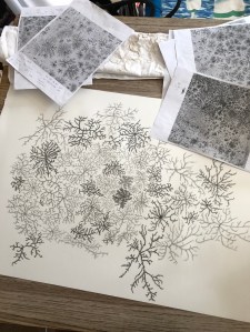 Where I wander in the night, Angela Carter 2017 Drawing