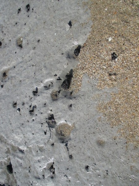 the meeting place of sand and ash mud