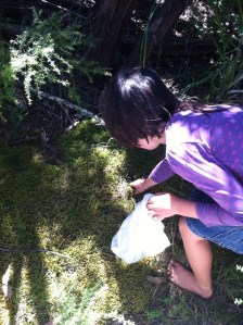 Luna collecting moss