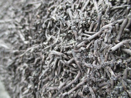 black twisting punga log detail