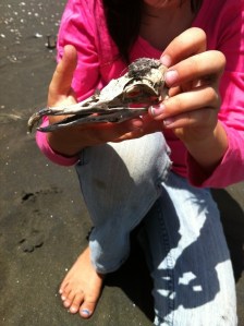 Karekare bird skull and Luna