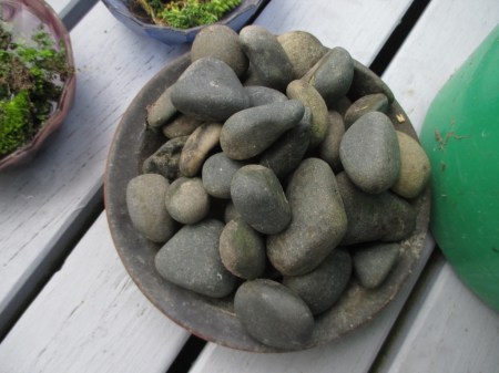 Terrarium making rocks