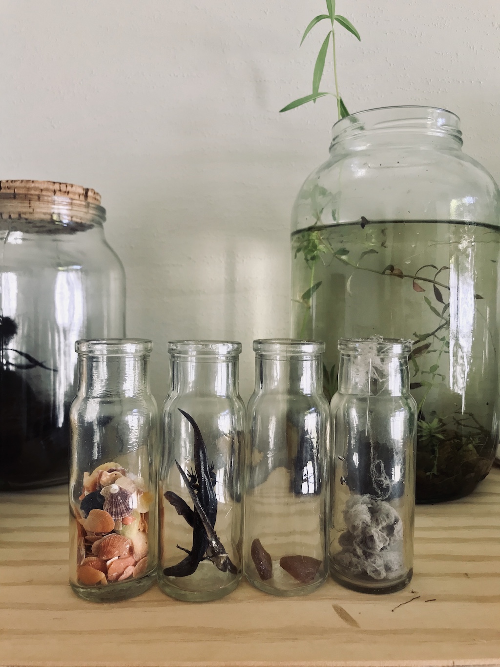 i used to find dead insects in your pockets2