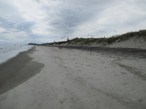 Luna and Blake walking the beach