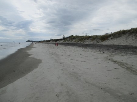 Luna and Blake walking the beach