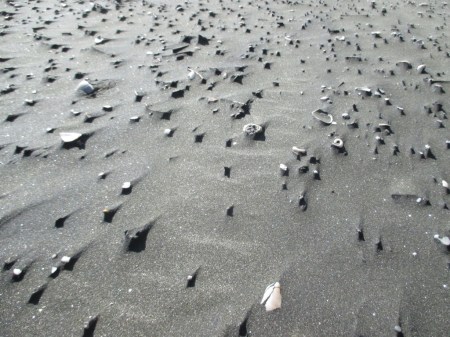 Karekare sandsculptures en mass