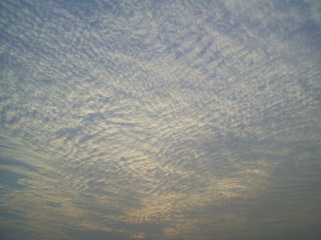800px-Cirrocumulus_in_Hong_Kong