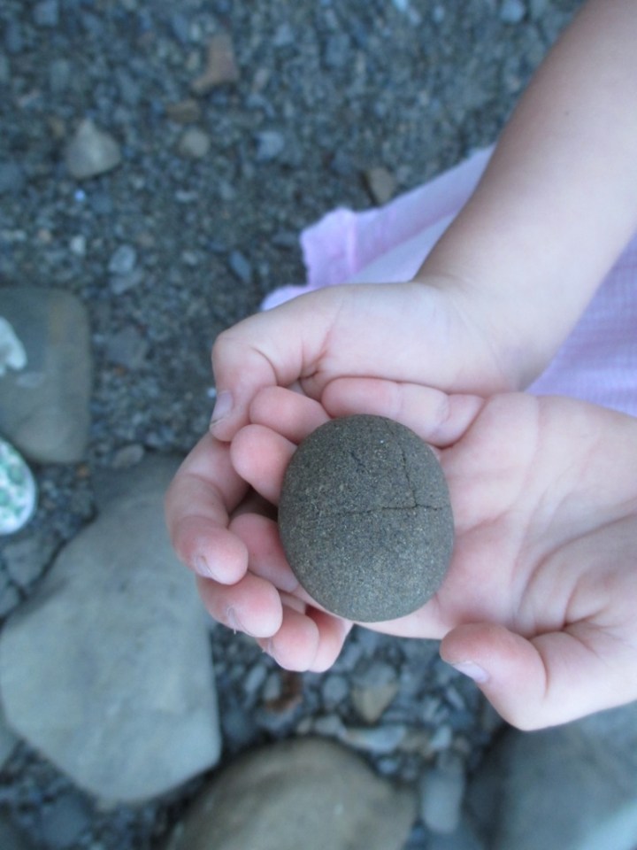 We’re going on a fossil&nbsp;hunt