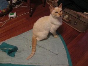 Austin with skirt panels