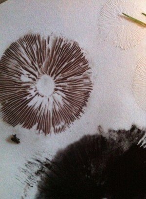 spore prints detail