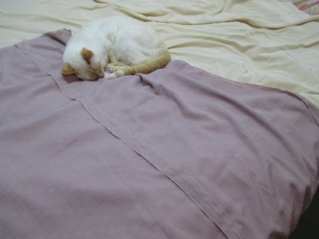 Vogue 5435 pants and Austin