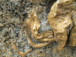 Matheson's Bay rock creamy formation