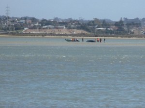 Eric Armishaw res beach whale distant